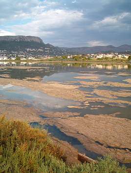 Cuadro de texto:    Vista de las Salinas y la Sierra de Olta.  Foto: Elías Gomis.  